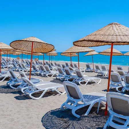 Selectum Family Side