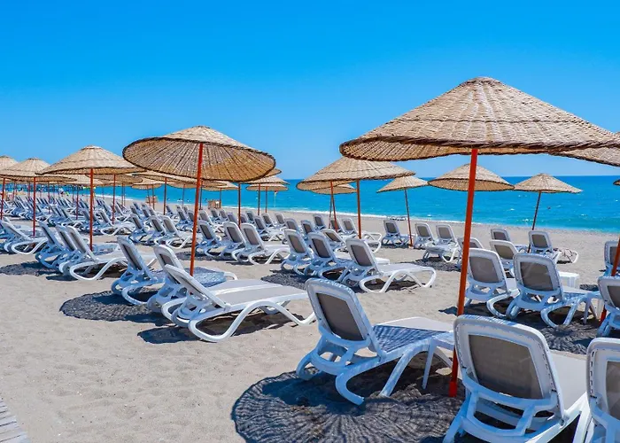 Selectum Family Side